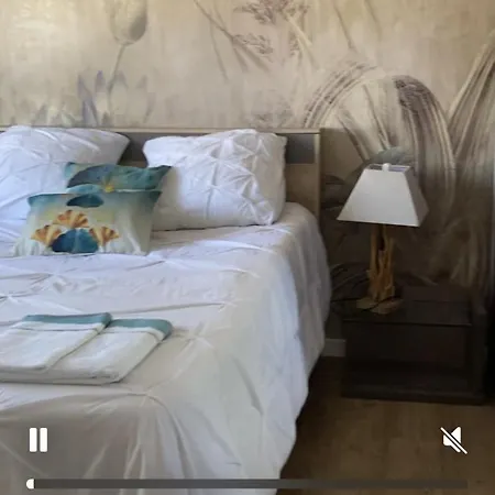 Rose Et Homestay Montpellier